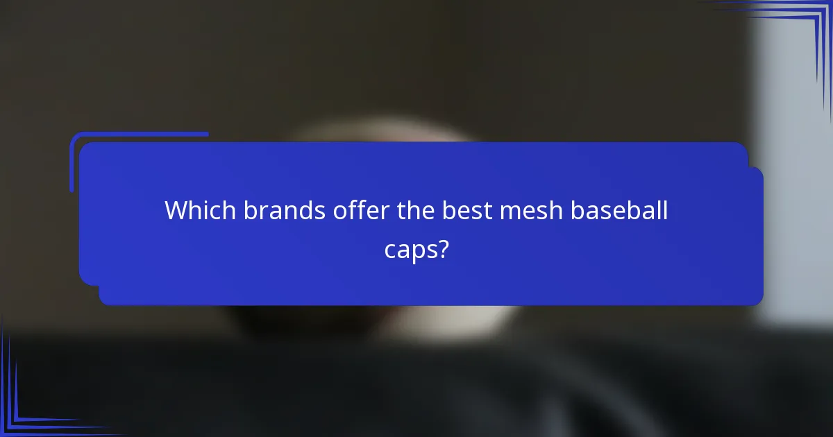 Which brands offer the best mesh baseball caps?